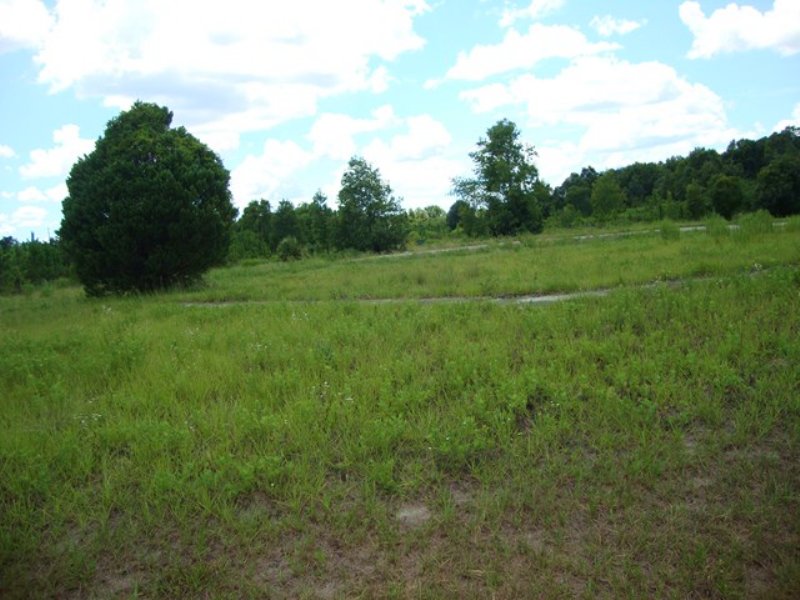 Prime Commericial Lot 772616 : Chiefland : Levy County : Florida