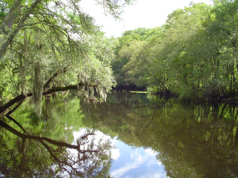 Riverfield Plantation : Walterboro : Colleton County : South Carolina