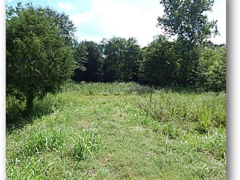 9.7 Acres in Madison County : Flora : Madison County : Mississippi