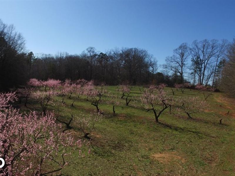 Anderson Homesite and Mini Farm : Anderson : Anderson County : South Carolina