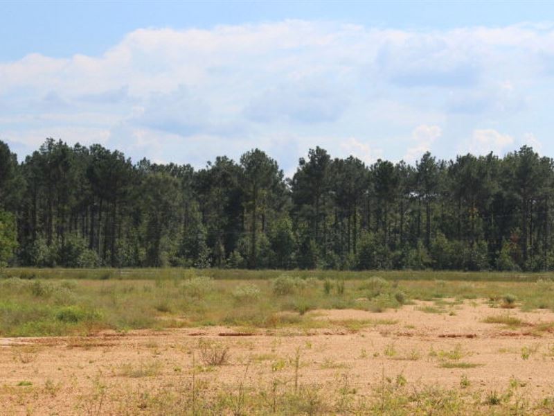 Commercial Development Land for Sal : Columbia : Marion County : Mississippi