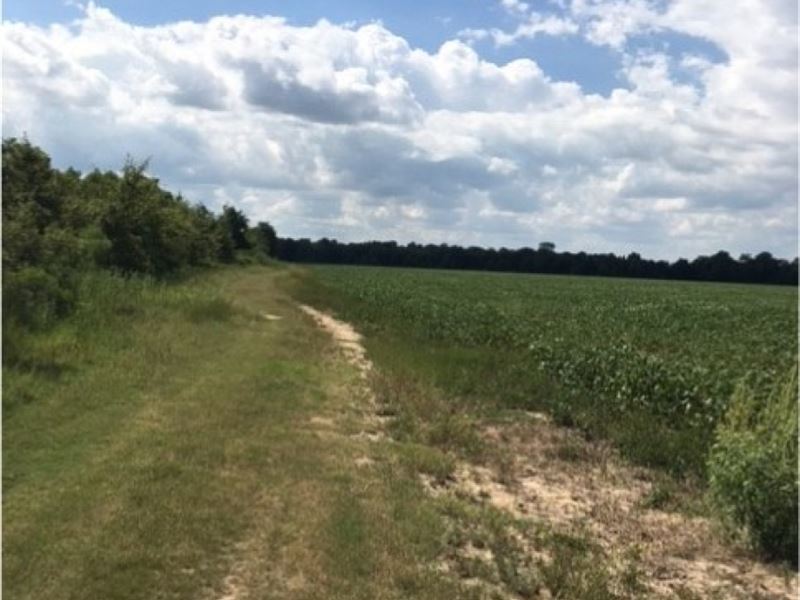 32 Acres in Quitman County : Batesville : Quitman County : Mississippi