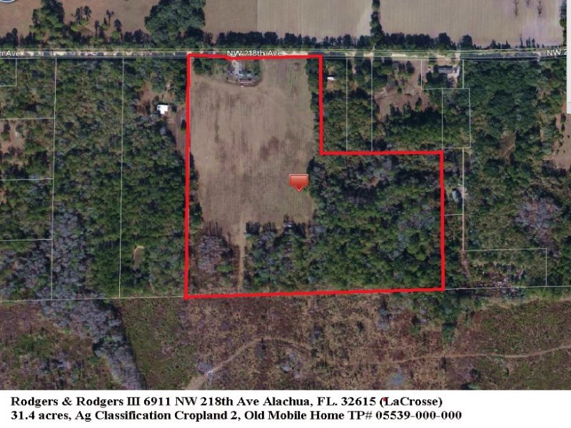 31.4 Acres in Meadow and Woods : Alachua : Alachua County : Florida