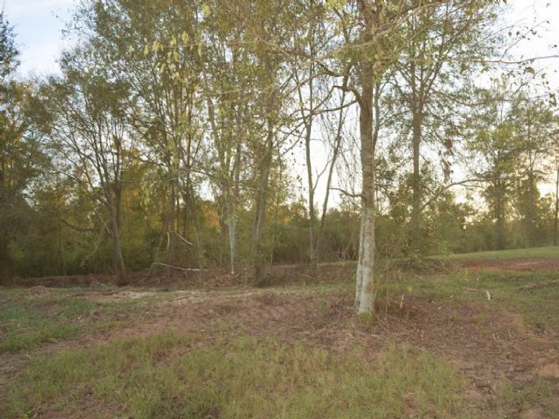 11.18 Acres in Walthall County : Jayess : Walthall County : Mississippi