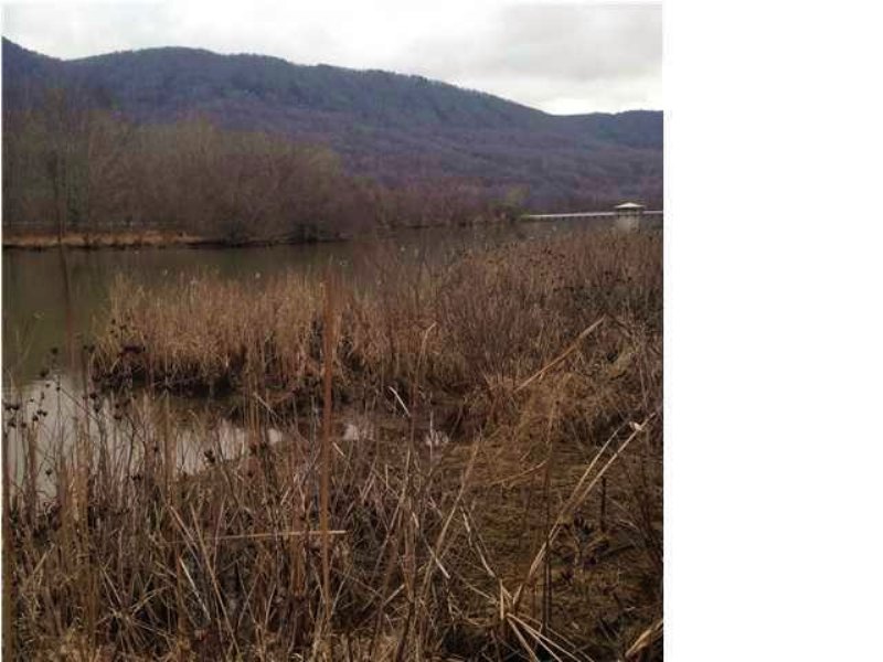 8.29+/- Acres On Nick-a-jack Lake : Whitwell : Marion County : Tennessee