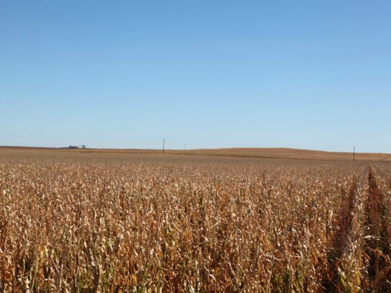 Pivot Irrigated : Grant : Perkins County : Nebraska