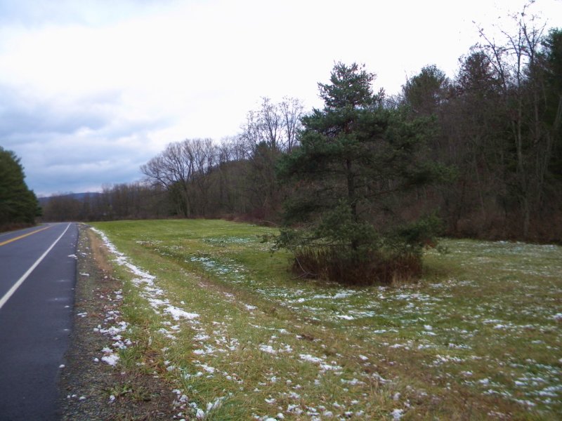 22 Acres Near Ithaca with Stream : Caroline : Tompkins County : New York
