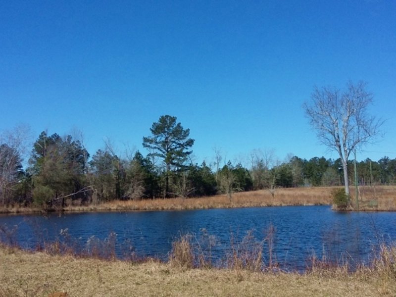 Pendleton Pond : Kite : Johnson County : Georgia