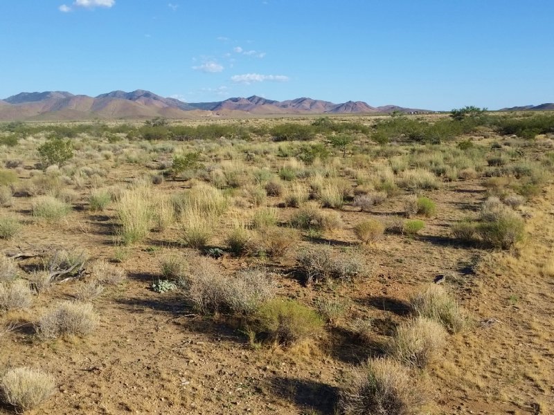Serene Desert Beauty Awaits : Dolan Springs : Mohave County : Arizona