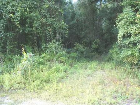 Make An Offer On 3.2 Acres : Old Town : Dixie County : Florida