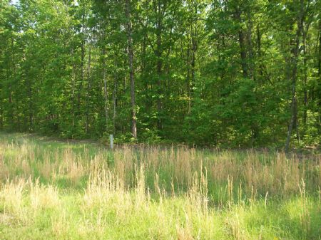 6.43 Acres..level To Gently Rolling : Pikeville : Bledsoe County : Tennessee