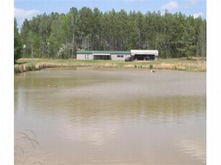 152ac. Cattle/hunting Farm : Selmer : McNairy County : Tennessee