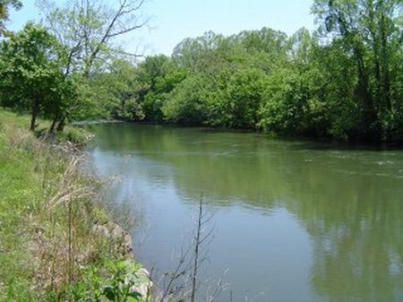 20.42 Acres On Terrapin Creek : Piedmont : Cherokee County : Alabama