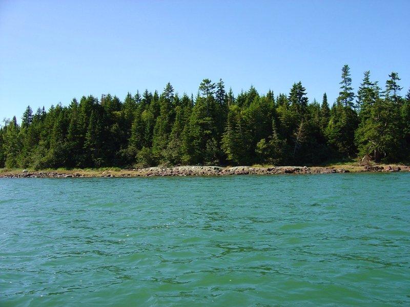 Nepp Point Oceanfront Acreage : Roque Bluffs : Washington County : Maine