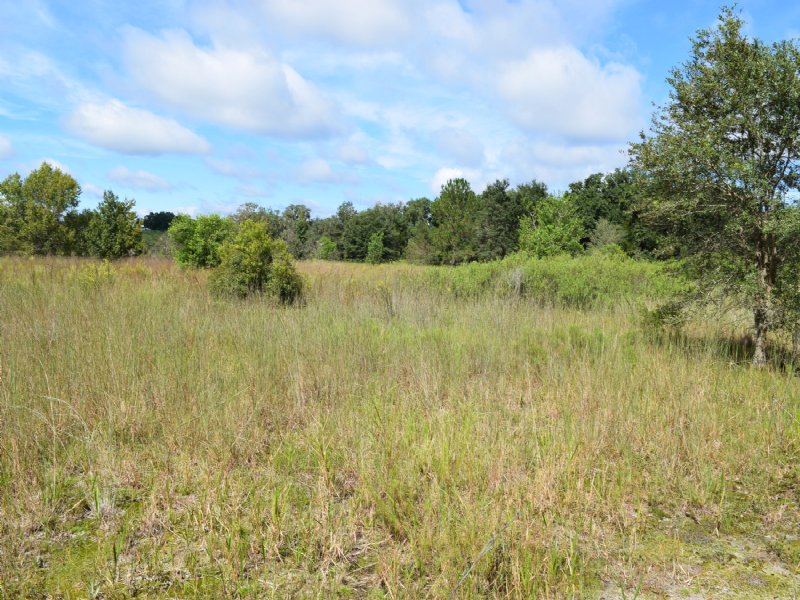 16.3 Ac Greenbelted, Fenced & Gated : Bushnell : Sumter County : Florida