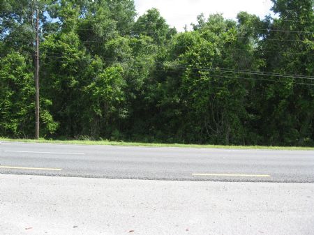 2 Ac. Of Vacant Com. Land On Hwy 19 : Cross City : Dixie County : Florida