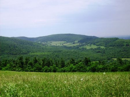 250 +/- Acre Ranch with A View : Harriet : Searcy County : Arkansas