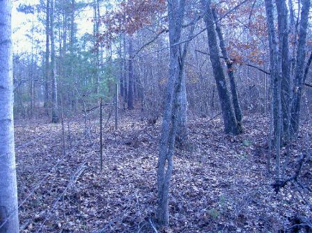 4.62 Ac. Wooded Lot, Spalding Co. : Griffin : Spalding County : Georgia