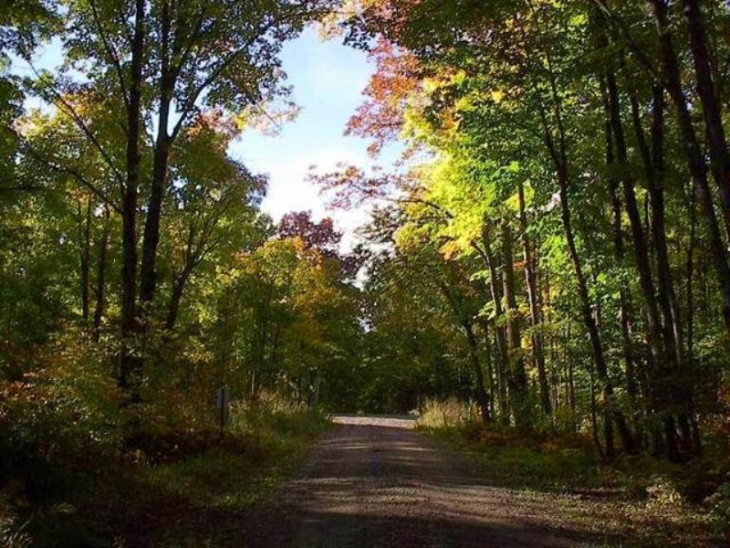 39 Acres Co Rd 424 Mls 1093572 : Crystal Falls : Iron County : Michigan