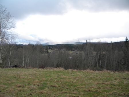 Secluded and Private 10 Acres : Mccleary : Grays Harbor County : Washington