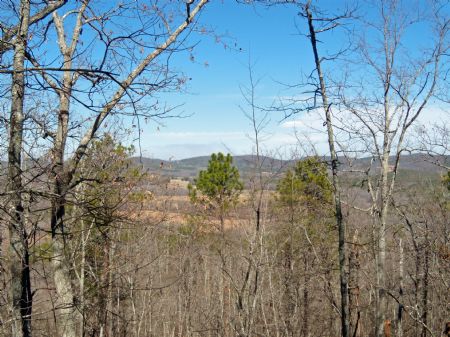 Overlooking The Cove - $1850 / Ac : Gay : Meriwether County : Georgia