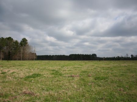 400 Acres Cattle Or Horse Farm : Forest : Scott County : Mississippi