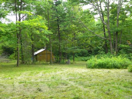4+ Acres Camp Bordering State Land : Newfield : Tompkins County : New York