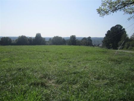 Beautiful Forty Acres with Pond : Vinemont : Cullman County : Alabama