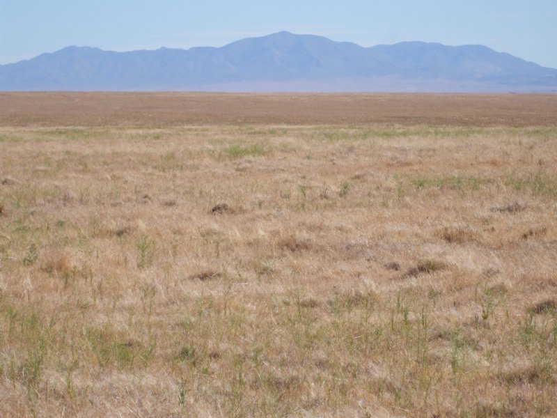 304+ Acres Northern Nevada Land : Golconda : Elko County : Nevada