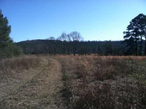 22 Acres - Pasture - Creek - Pond : Ashville : Saint Clair County : Alabama