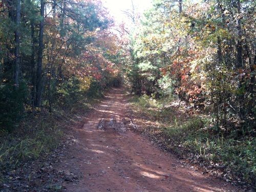 Timber and Hunting Land : Crawfordville : Taliaferro County : Georgia
