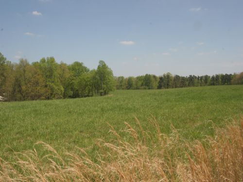Home and Acreage : Vinemont : Cullman County : Alabama