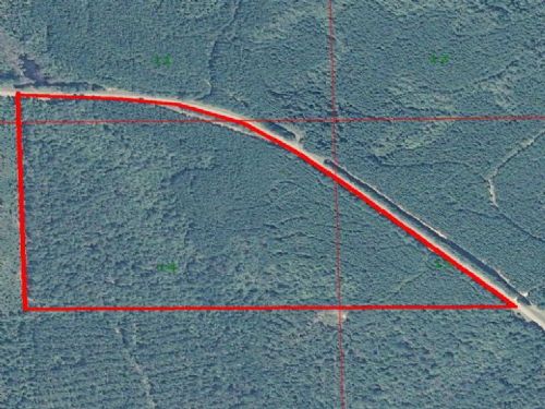 47+/- Acres State Road 106 : Brantley : Crenshaw County : Alabama