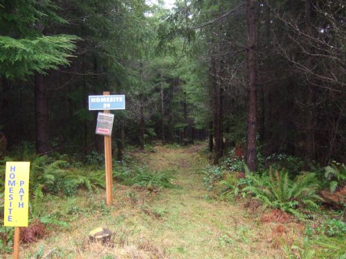 Skyline Ridge Forest Reserve : Castle Rock : Cowlitz County : Washington