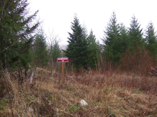 Yelm Meadows Forest Reserve 12 : Yelm : Thurston County : Washington