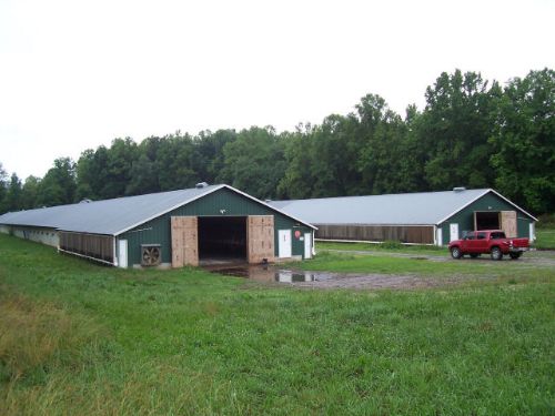 Poultry Farm : Cleveland : White County : Georgia