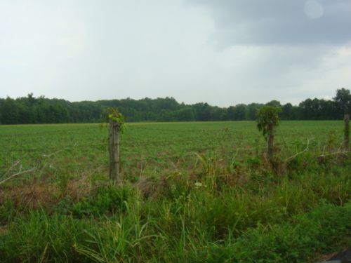 35 Acres On Blacktop Road r3086 : Russell Springs : Russell County : Kentucky