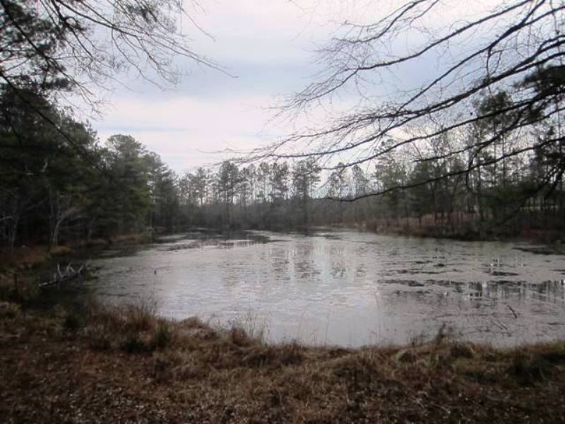 36 Acres with Pond in Lineville : Lineville : Clay County : Alabama