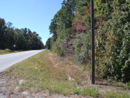 800 Acres, Timber and Creek Front : Brunswick : Glynn County : Georgia