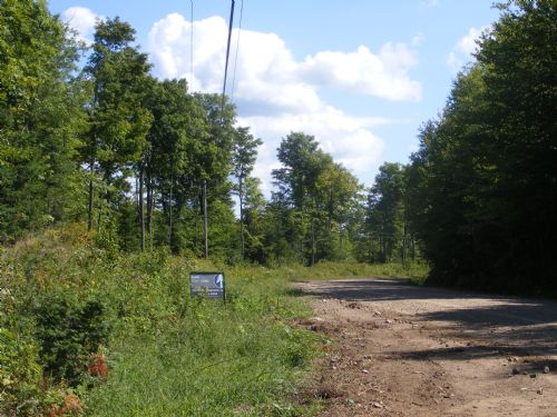 9.8 Acre Lot $12,500 : Waverly : Franklin County : New York