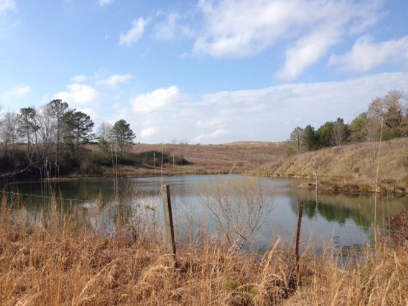 Farming & Hunting Tract : Crane Hill : Cullman County : Alabama