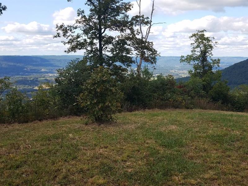 Bluff Lot with Unlimited Views : Dunlap : Sequatchie County : Tennessee