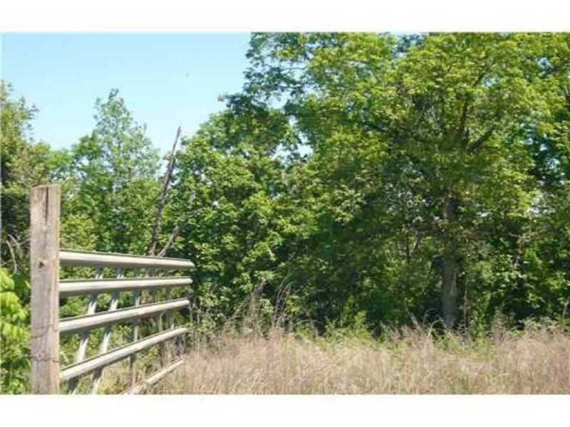 83 Acres Hunting Or Homesite : Winslow : Washington County : Arkansas