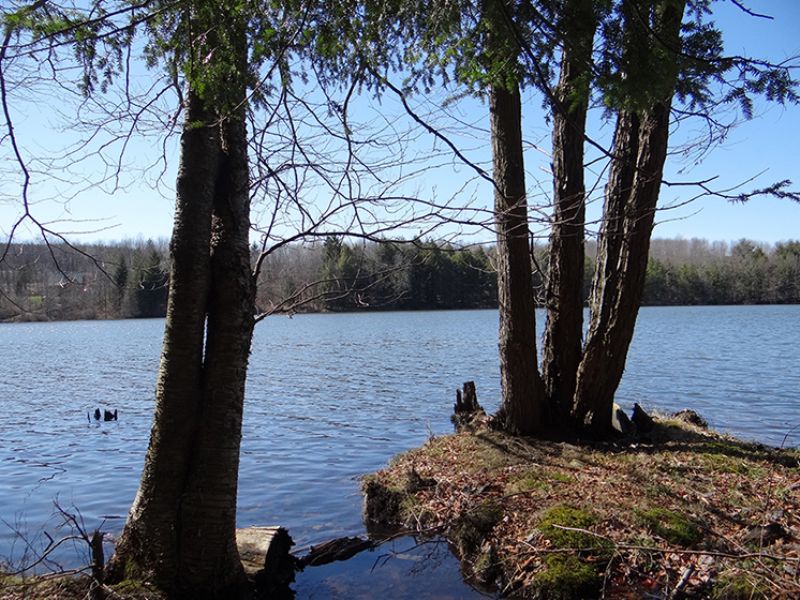 Lake Lot Frontage On Private Lake : Smyrna : Chenango County : New York