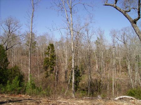 Rare Find 10 Acres Great Location : Perry : Peach County : Georgia