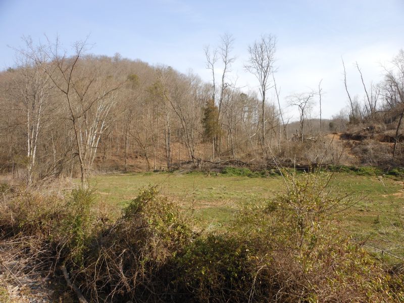 Lonesome Valley Property : Tazewell : Claiborne County : Tennessee