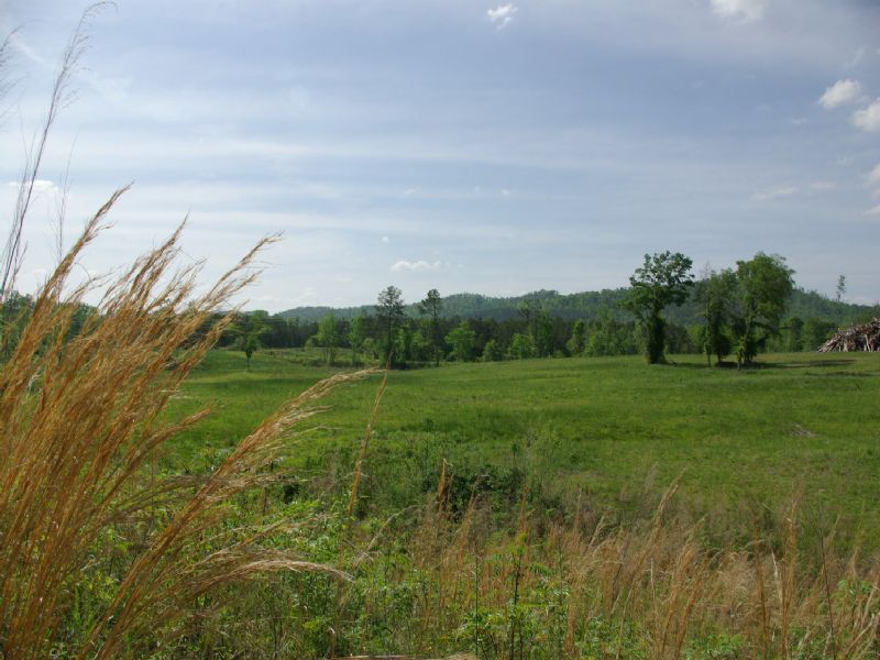 56 Acres - Creek - Fenced - Pasture : Ashville : Saint Clair County : Alabama