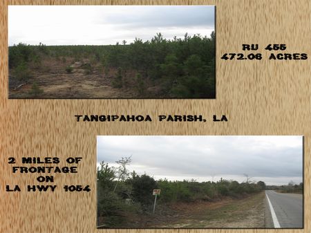 Ru 455 : Amite : Tangipahoa Parish : Louisiana