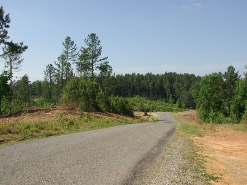Close To Birmingham - Tract 27of 28 : Odenville : Jefferson County : Alabama
