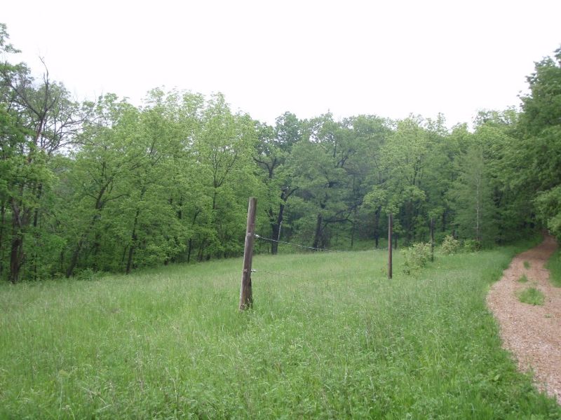 174 Acres Forest Road : Muscoda : Grant County : Wisconsin